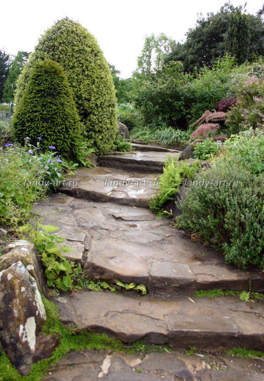 Дикие лестницы