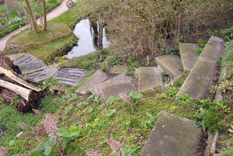 Дикие лестницы