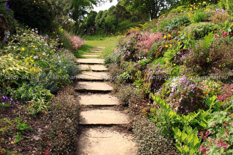 Дикие лестницы