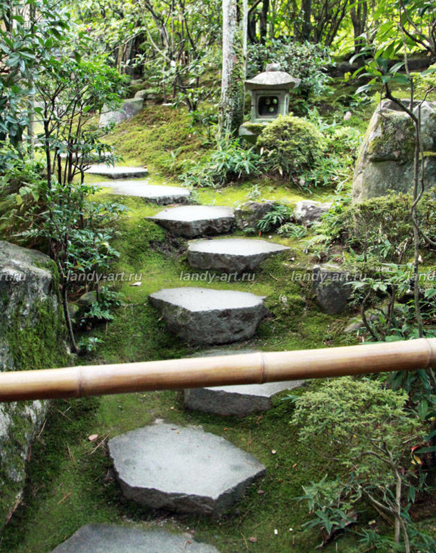 Дикие лестницы