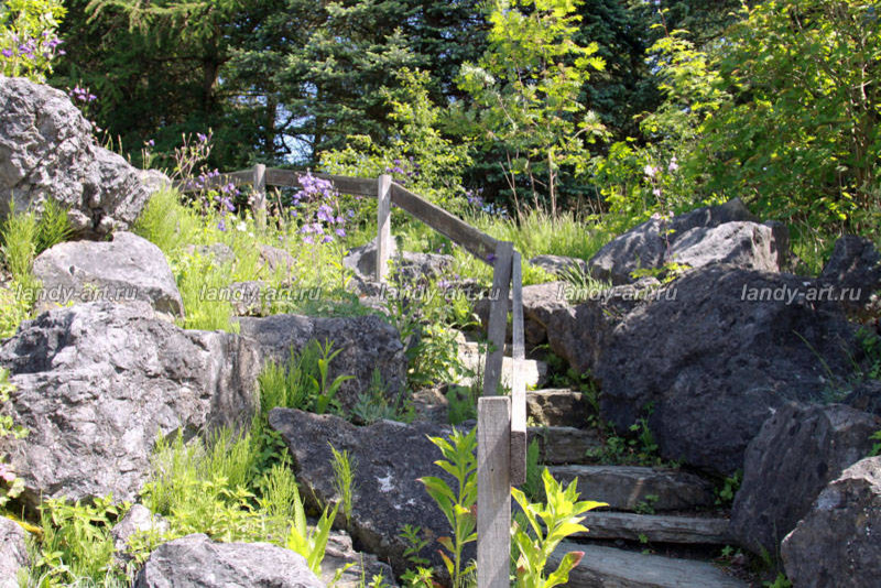 Дикие лестницы