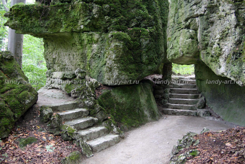 Дикие лестницы