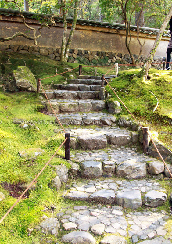 Дикие лестницы