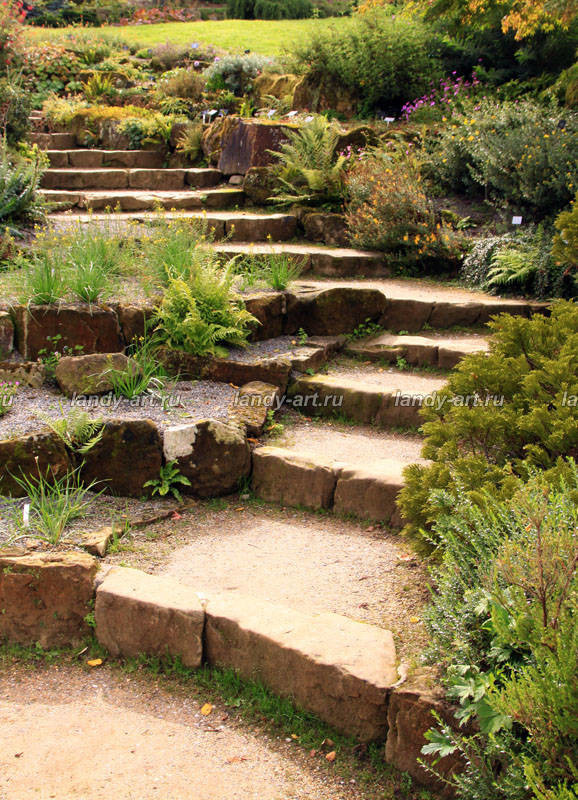 Дикие лестницы