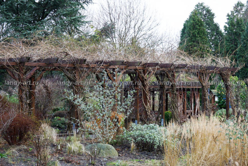 Перголы в частных садах.