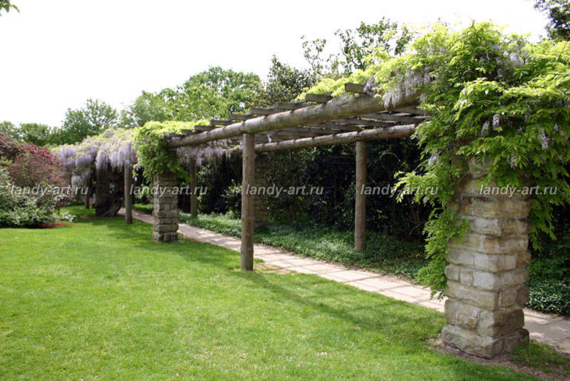 Перголы в частных садах.
