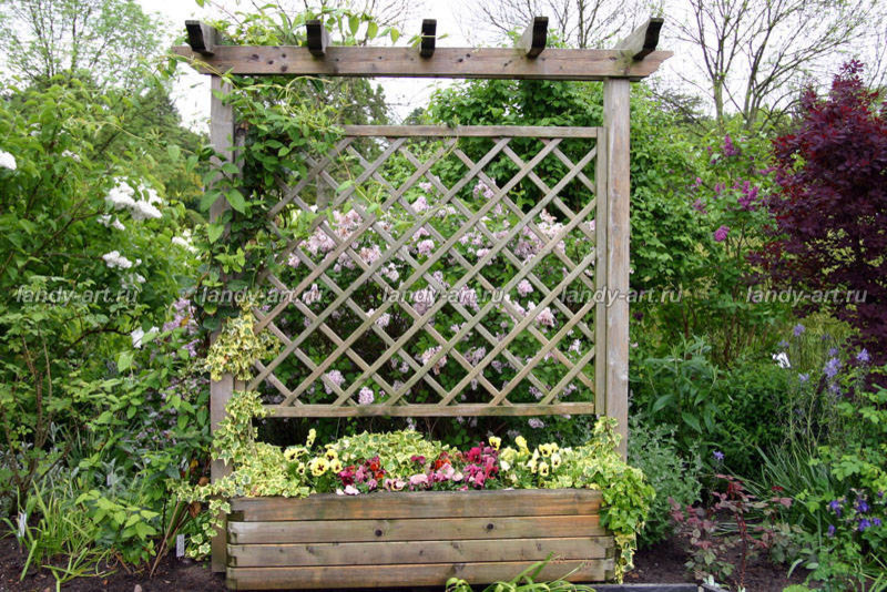 Перголы в частных садах.