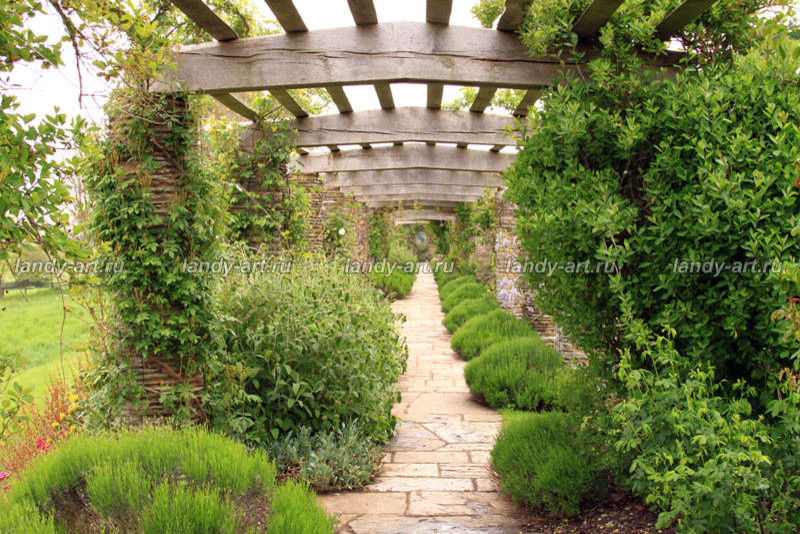 Перголы в частных садах.