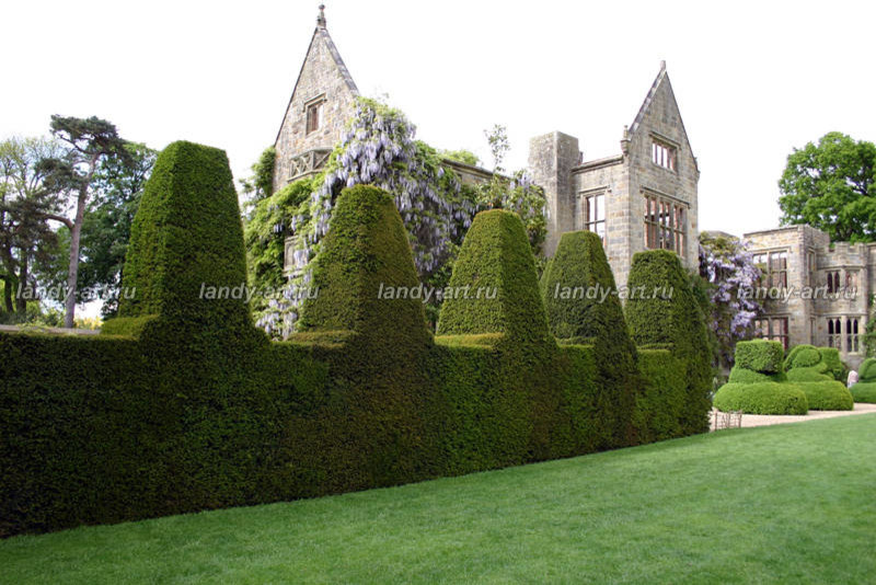 стриженые изгороди.
