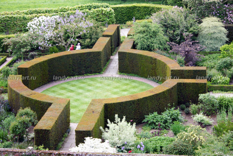 стриженые изгороди.
