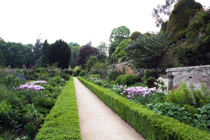 стриженые изгороди.