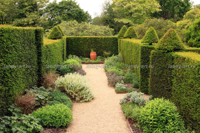 стриженые изгороди.