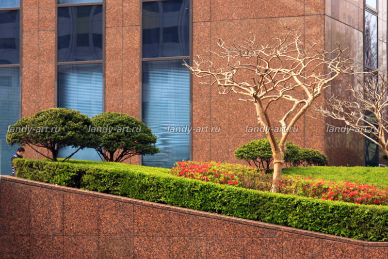 стриженые изгороди.