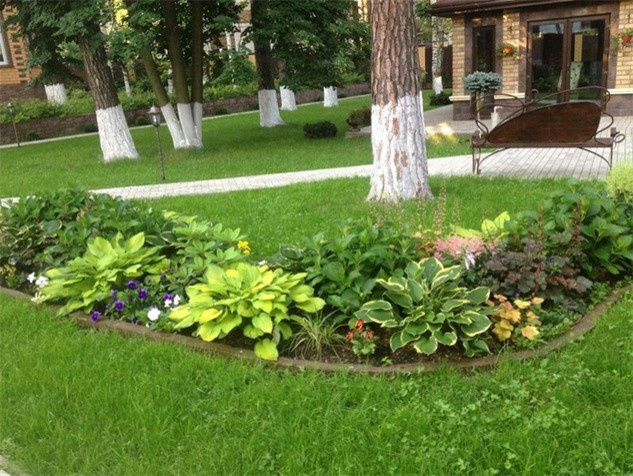 Паб (павильон на частном участке)