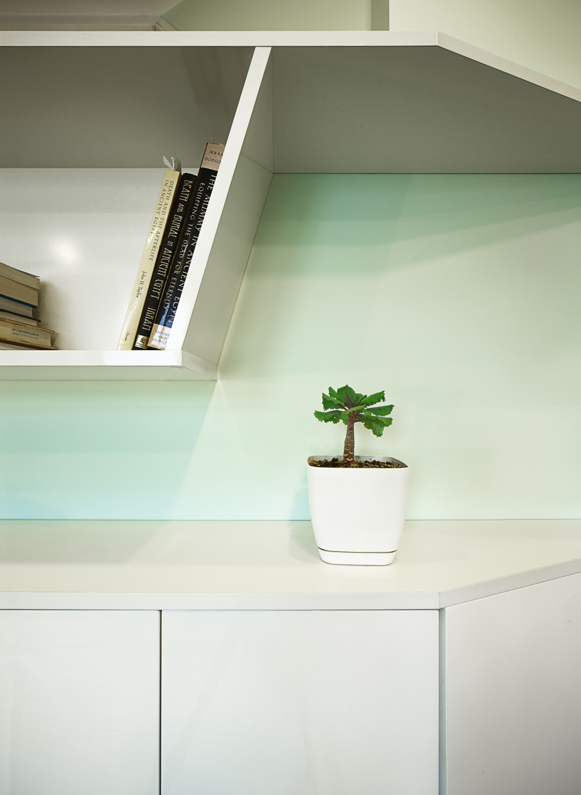 Houzz Украина: Квартира-cтудия с кривыми розы Гвидо Гранди