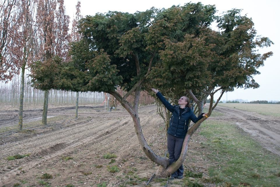 Выставка в Челси: Река времени в саду из России
