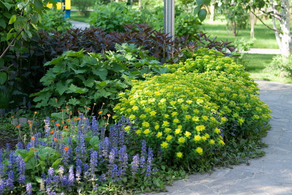 Проект недели: Сад в Заречье со злаковыми цветниками