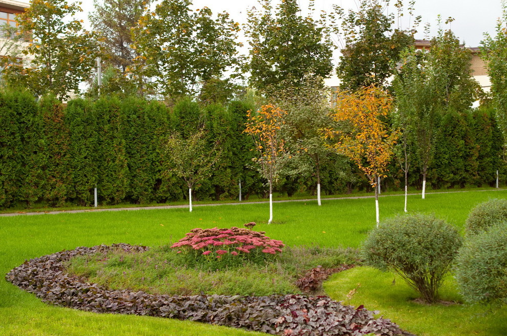 Проект недели: Сад в Заречье со злаковыми цветниками