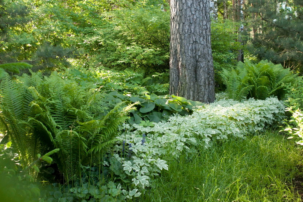 Проект недели: Сад в Заречье с декоративными цветниками из злаков