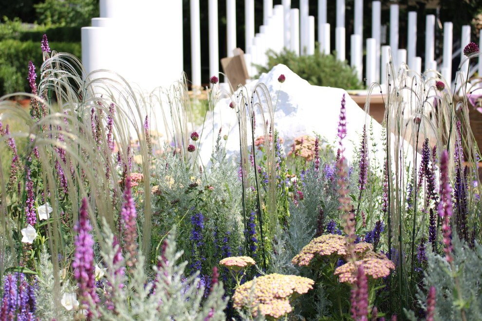 Проект недели: Серебряный ветер в саду из Белгорода