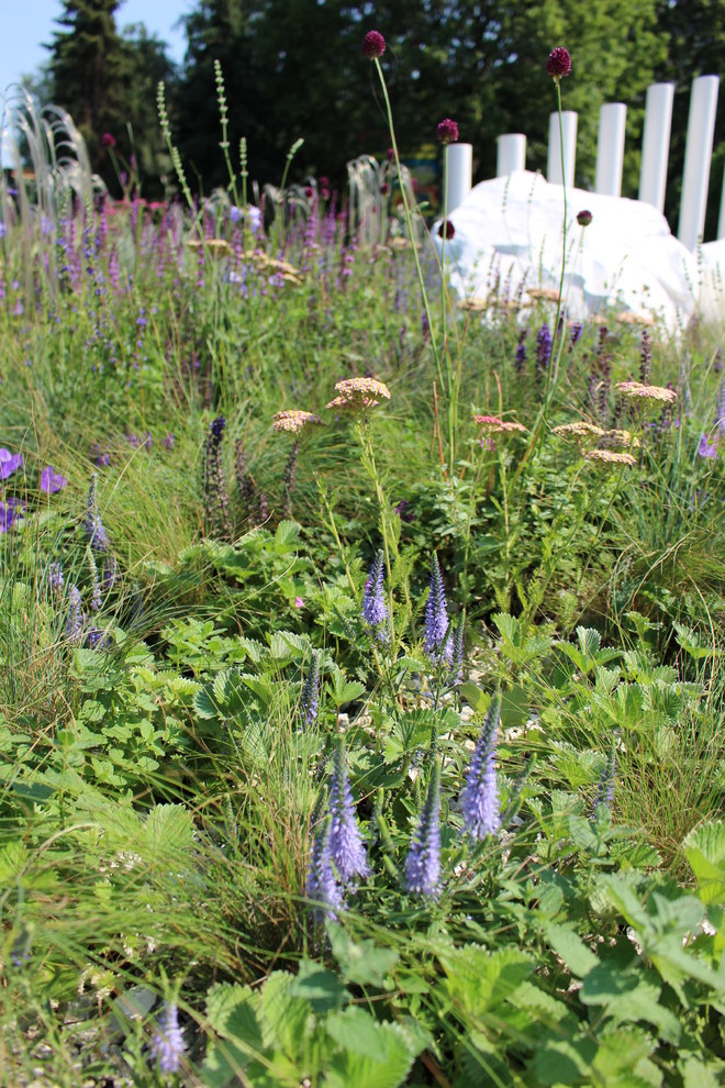 Проект недели: Серебряный ветер в саду из Белгорода