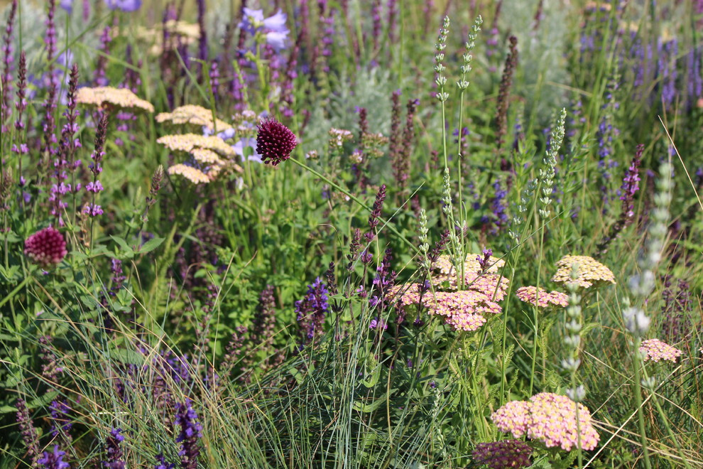 Проект недели: Серебряный ветер в саду из Белгорода