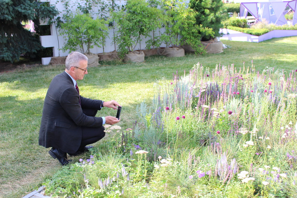 Проект недели: Серебряный ветер в саду из Белгорода