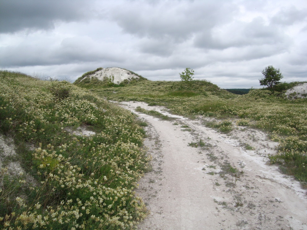 Проект недели: Серебряный ветер в саду из Белгорода