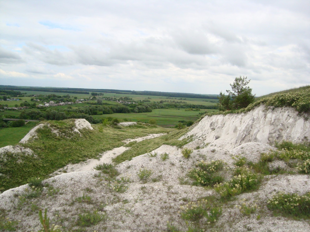 Проект недели: Серебряный ветер в саду из Белгорода