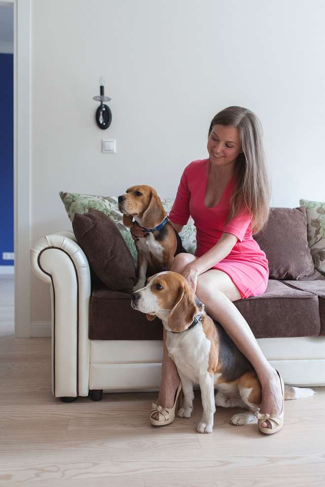 В гостях: Интерьер с двумя биглями и качелями у окна