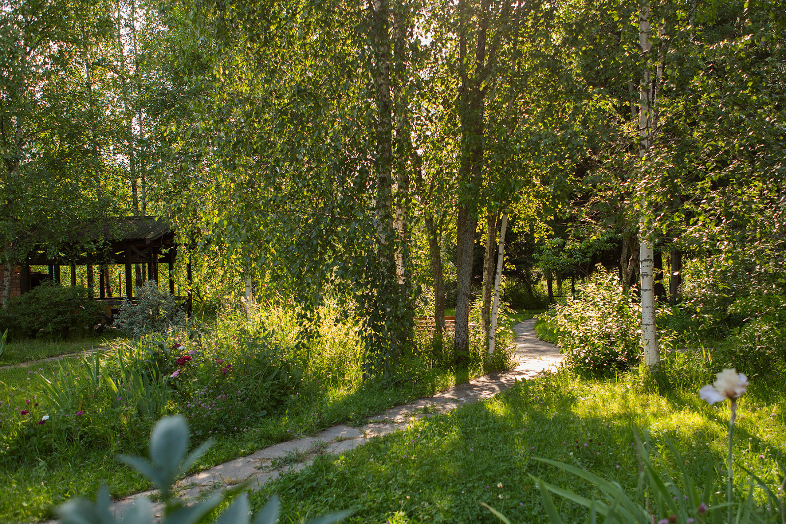 Съёмка Дома и сада на Новорижском шоссе