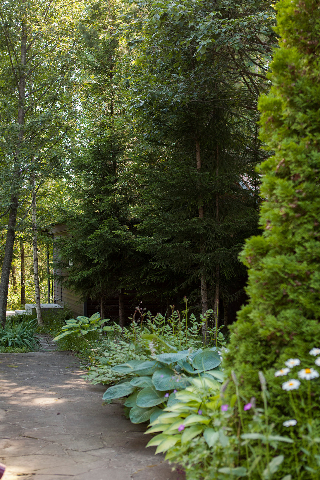 Съёмка Дома и сада на Новорижском шоссе