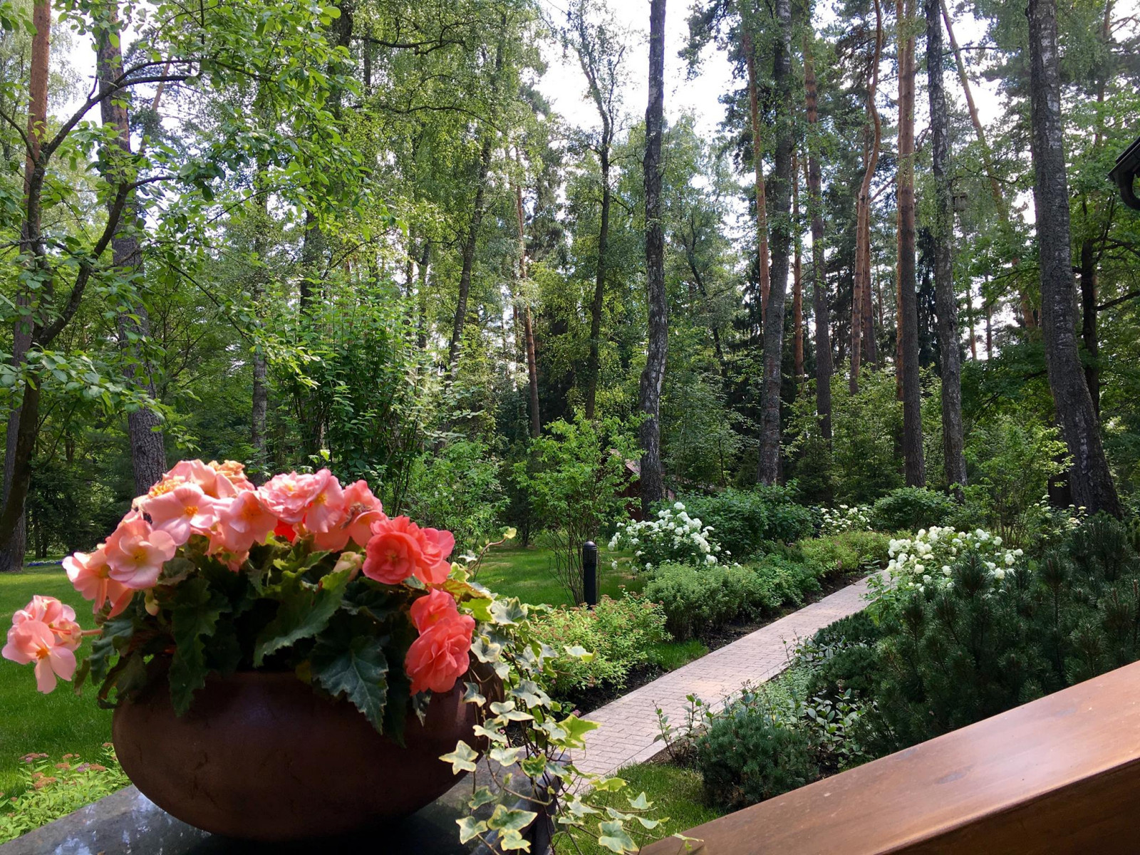 снегири