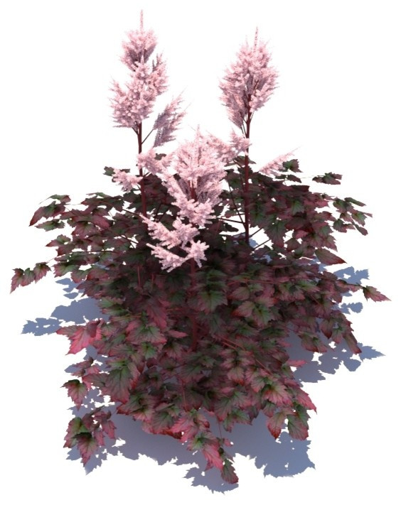 3d models