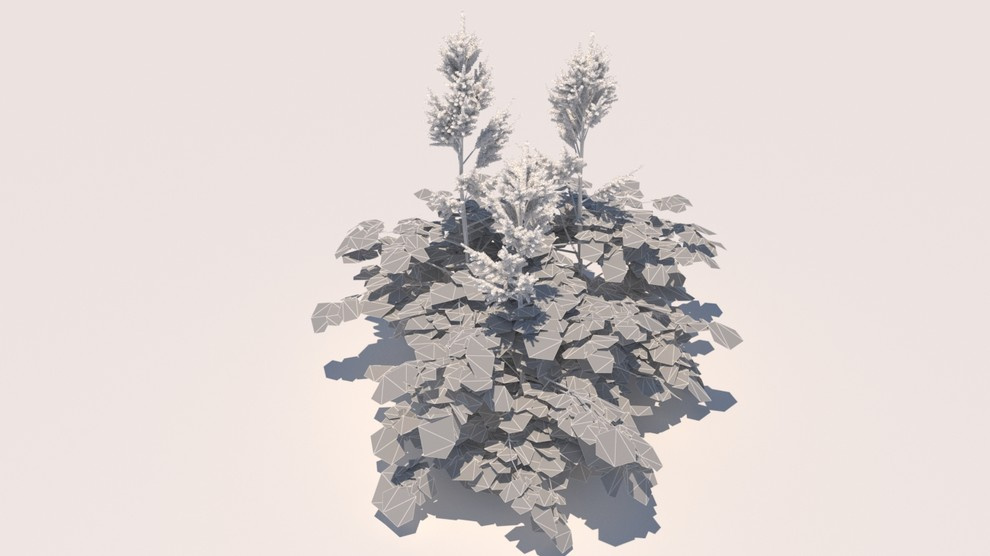 Обложка проекта: 3d models of plants