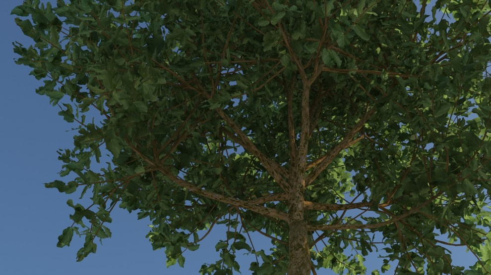 3d models