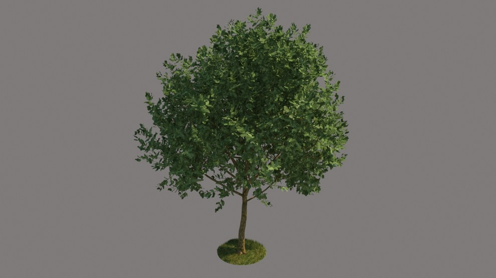 3d models