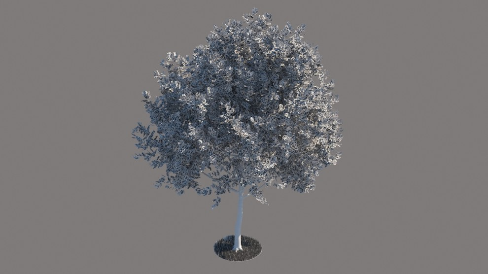 3d models