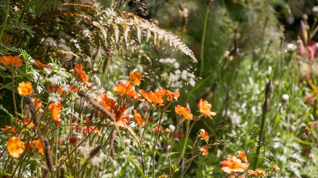 Как взглянуть на мир цвета другими глазами?