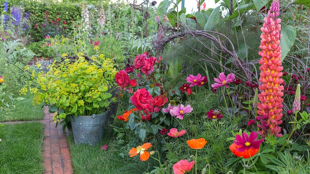 Челси 2017: Модные цветы