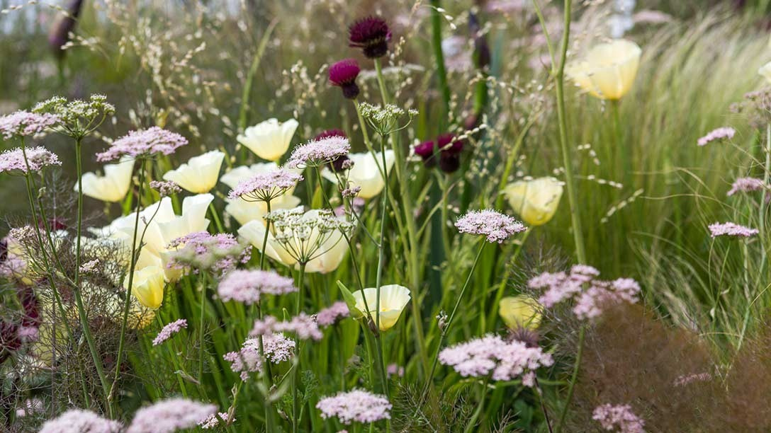 Как взглянуть на мир цвета другими глазами?