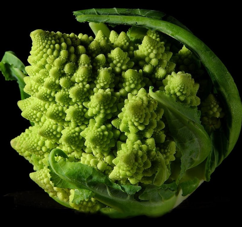 Fractal_Broccoli.jpg (1024×768)