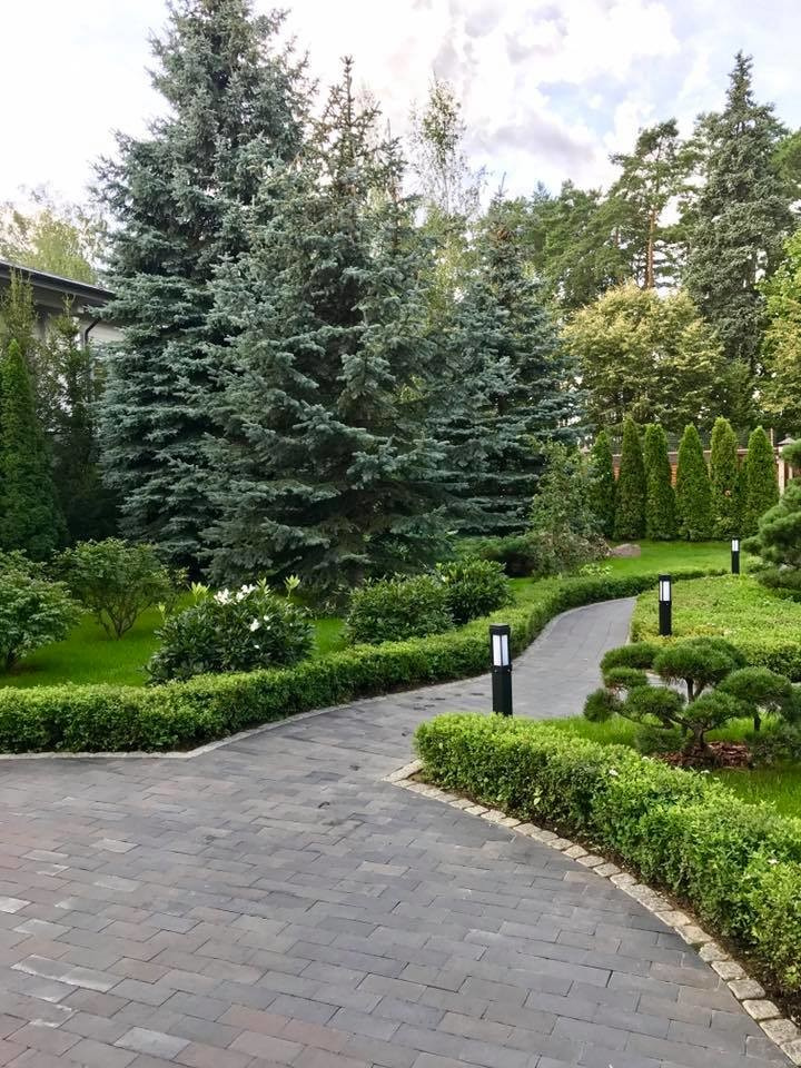 осенние краски