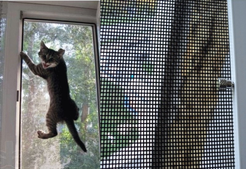 Москитная сетка: Какая нужна вам — в городе и на даче