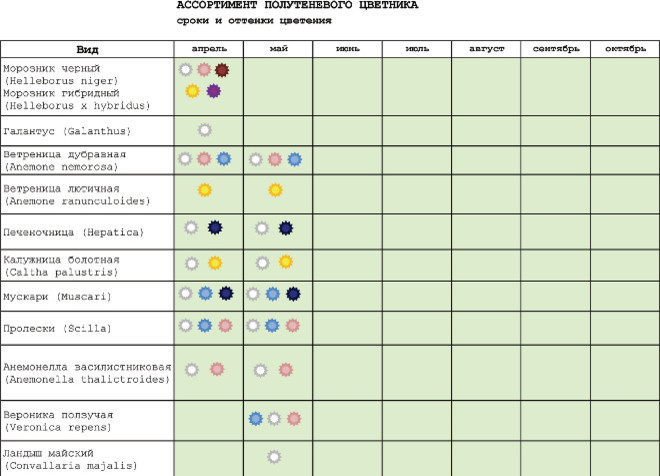 Как правильно: Создать клумбу непрерывного цветения