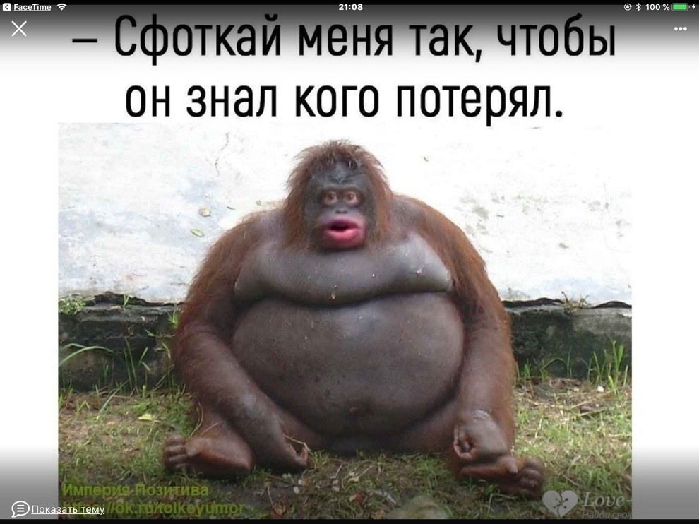 юмор