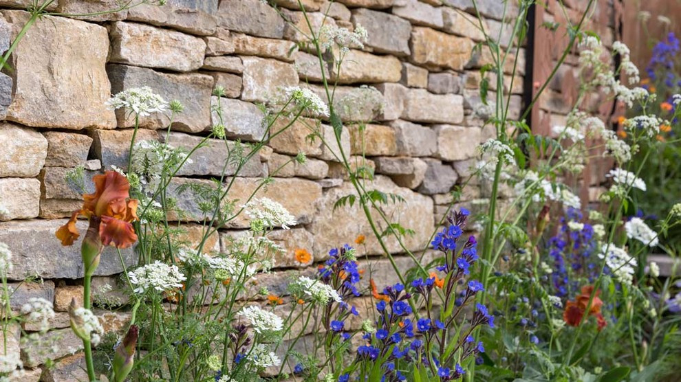 Уроки Chelsea Flower Show: Сад хорошего самочувствия