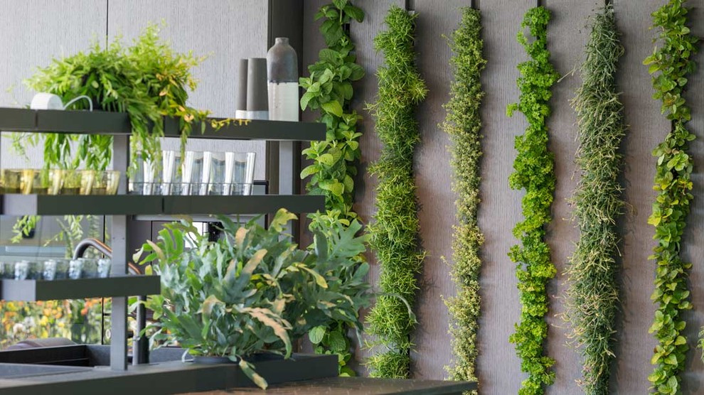 Уроки Chelsea Flower Show: Сад хорошего самочувствия