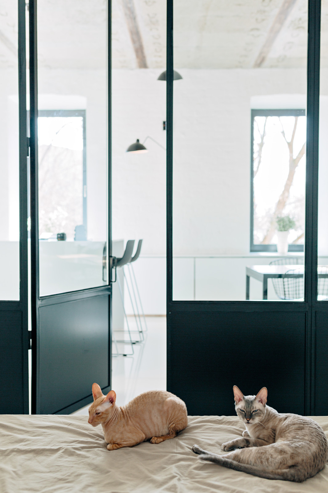 BLACK AND WHITE APARTMENT