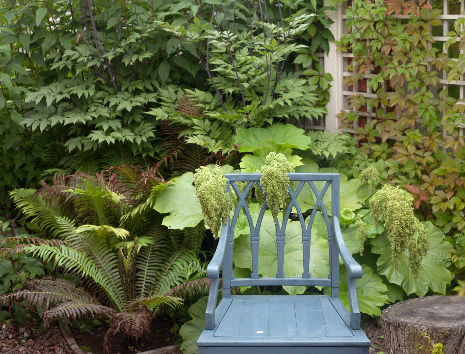 Фоновое изображение профиля Яна Коперская